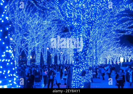 Eine Menschenmenge geht hinunter und macht Fotos in der Blue Cave Keyaki Namik, die von Millionen Blue LED Lights im Shibuya Tokyo beleuchtet wird. Stockfoto