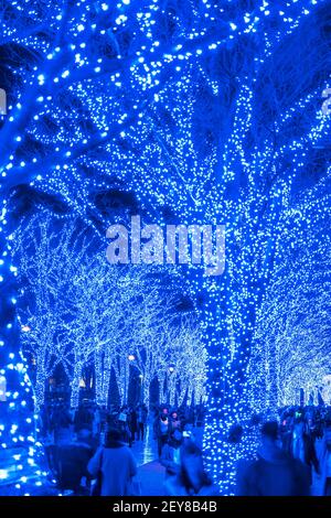 Eine Menschenmenge geht hinunter und macht Fotos in der Blue Cave Keyaki Namik, die von Millionen Blue LED Lights im Shibuya Tokyo beleuchtet wird. Stockfoto