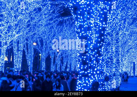 Eine Menschenmenge geht hinunter und macht Fotos in der Blue Cave Keyaki Namik, die von Millionen Blue LED Lights im Shibuya Tokyo beleuchtet wird. Stockfoto