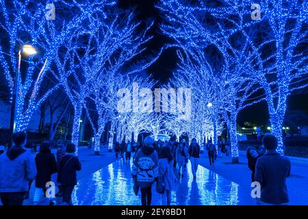 Eine Menschenmenge geht hinunter und macht Fotos in der Blue Cave Keyaki Namik, die von Millionen Blue LED Lights im Shibuya Tokyo beleuchtet wird. Stockfoto