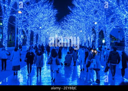 Eine Menschenmenge geht hinunter und macht Fotos in der Blue Cave Keyaki Namik, die von Millionen Blue LED Lights im Shibuya Tokyo beleuchtet wird. Stockfoto