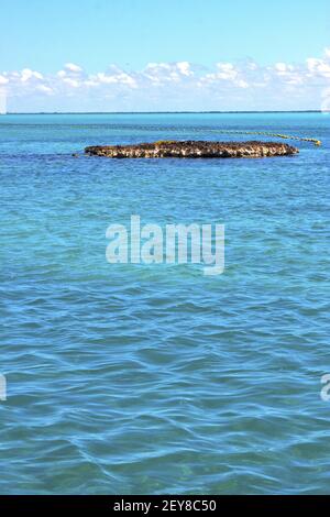 Isla contoy in mexiko froath Sea Drop Welle Stockfoto