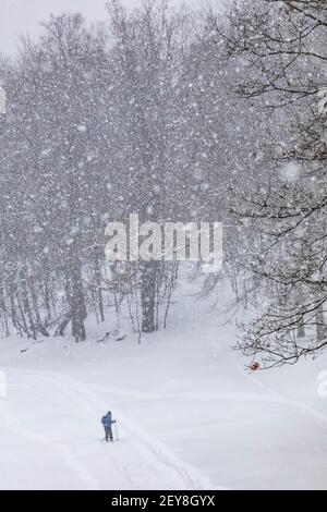 Langlauffahrer während eines schweren Schneesturms im Winter in Zentral-Michigan, USA Stockfoto