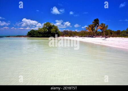 Und Rock in der Relax isla contoy mexico Stockfoto