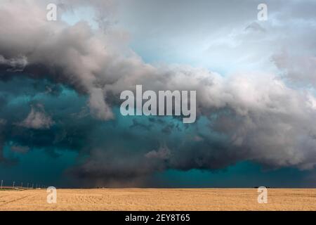 Bedrohliche Sturmwolken Rollen über ein Feld in der Great Plains, als sich ein supercell-Gewitter Cimarron, Kansas, USA, nähert Stockfoto