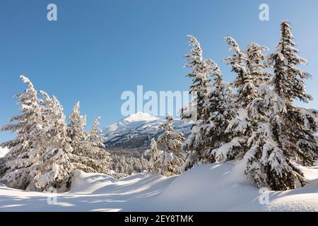 Tiefschnee im Spätwinter bedeckt den Alpin am Turnagain Pass in Südzentralalaska. Stockfoto