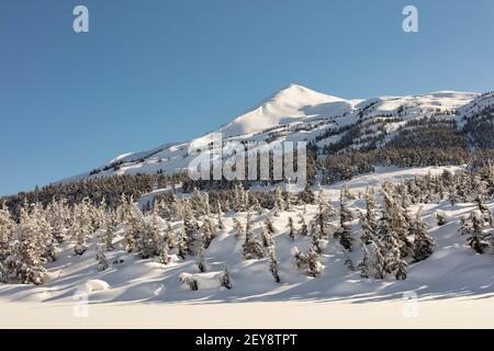 Tiefschnee im Spätwinter bedeckt den Alpin am Turnagain Pass in Südzentralalaska. Stockfoto