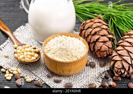 Zedernmehl in einer Schüssel, Nüsse und zwei Zapfen, Löffel mit geschälten Nüssen auf Esche, grünen Zweig und Zedernmilch in einem Krug auf Holzbrett Hintergrund Stockfoto