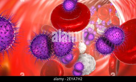 Meningokokzämie, Illustration Stockfoto