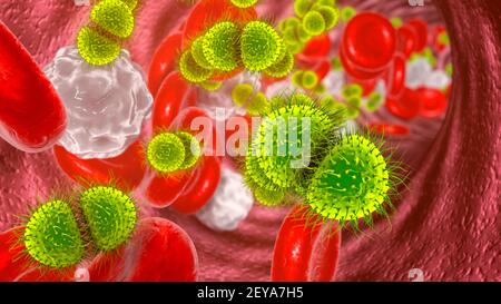 Meningokokzämie, Illustration Stockfoto