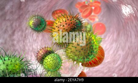 Meningokokzämie, Illustration Stockfoto