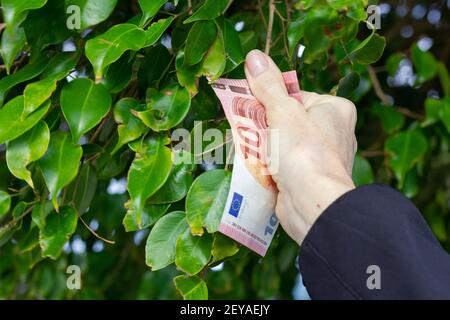 Hand der Frau, die 10 Euro-Schein von grünen Blättern Busch. Das Konzept des Geldanbaus auf Bäumen Stockfoto