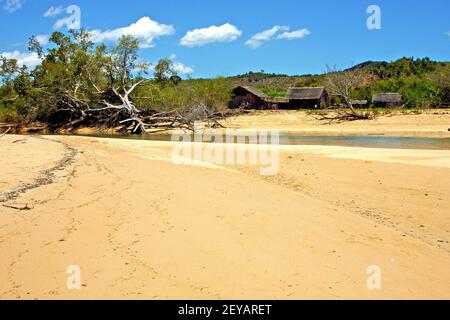 Nosy Strand Algen im indischen Ozean Fluss Stockfoto