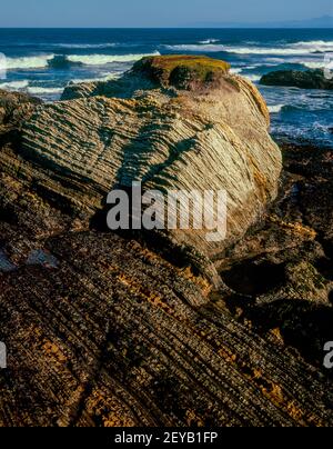 Monterey Schiefer, Montana de Oro State Park, San Luis Obispo County, Kalifornien Stockfoto