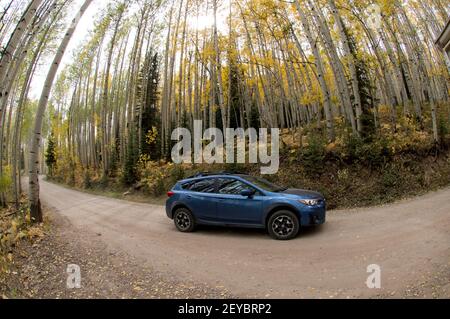 Blaues Auto, das durch Aspen Grove in SW Colorado fährt - Fisheye Perspektive. Stockfoto