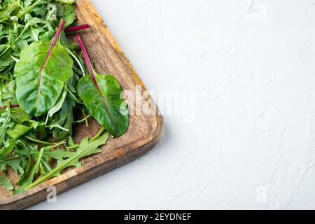Grüner Kräutersalat mit Rucola und Mangold, Schweizer Mangold-Set, auf weißem Steinhintergrund, mit Platz für Text Stockfoto