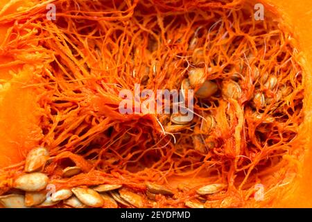 Kürbiskerne und Innenseiten Hintergrund, Textur Stockfoto