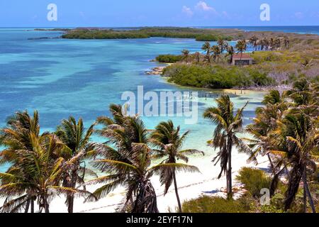 Isla contoy Sand in mexiko froath Drop sonnige Welle Stockfoto
