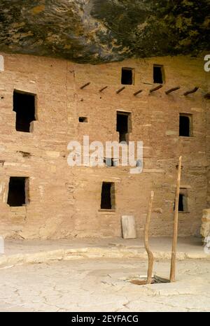 Besuchen Sie das Fichte Tree House im Cliff Palace im Mesa Verde National Park, die Ruinen eines Anasazi Pueblo, UNESCO-Weltkulturerbe Stockfoto