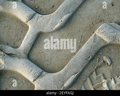 Spuren im Sand. Spuren von riesigen Traktorrädern. Stockfoto