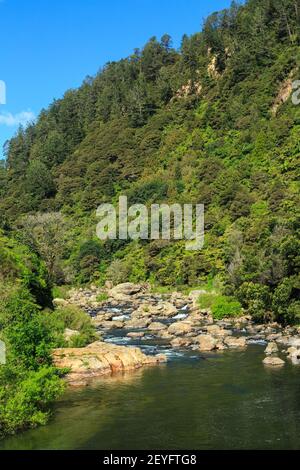 Der Ohinemuri River fließt aus bewaldeten Hügeln in der Karangahake Gorge, Neuseeland Stockfoto