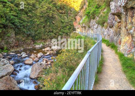 Ein Wanderweg entlang des Waitawheta Flusses in der Karangahake Gorge, Neuseeland Stockfoto