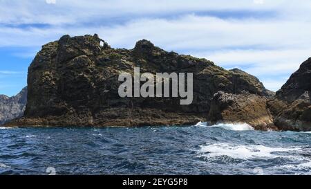 Tiheru Island ('der Hund') in der Bay of Islands, Neuseeland, mit Seevögeln auf den Felsen Stockfoto