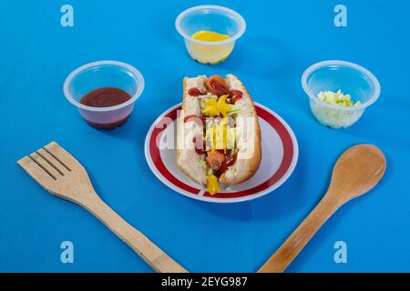 Ein Hot Dog auf einem Teller mit den Zutaten isoliert Auf blauem Hintergrund Stockfoto