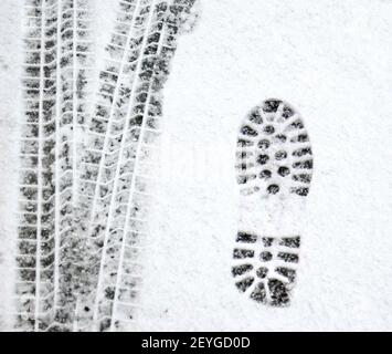 Nahaufnahme eines einzelnen Schrittes neben Reifenspuren im Winter bei Neuschnee Stockfoto