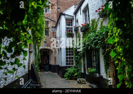 Antwerpen, Belgien - 12. Juli 2019: Gemütliche alte Straße mit Backsteinhäusern in Antwerpen, Belgien Stockfoto