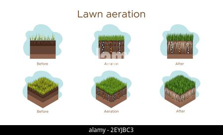 Rasenpflege - Belüftung und Skarifizierung. Beschriftungen nach Stadium-vor, während und nach. Aufnahme von Substanzen-Wasser, Sauerstoff und Nährstoffe, um das Gras zu füttern Stock Vektor