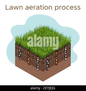 Rasenpflege - Belüftung und Skarifizierung. Beschriftungen nach Phase-während. Aufnahme von Substanzen-Wasser, Sauerstoff und Nährstoffe, um das Gras und Boden zu füttern. Vektor i Stock Vektor