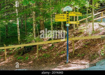 Blick auf einen Wegweiser im Bayerischen Wald, der die Wegweiser zum Schloss Neuschwanstein, zum Schloss Hohenschwangau und zu anderen Sehenswürdigkeiten der Umgebung zeigt Stockfoto
