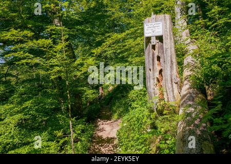 Hinweisschild beiseite ein Wanderweg tief im Bayerischen Wald warnt Wanderer davor, den Weg in drei verschiedenen Sprachen zu verlassen Stockfoto