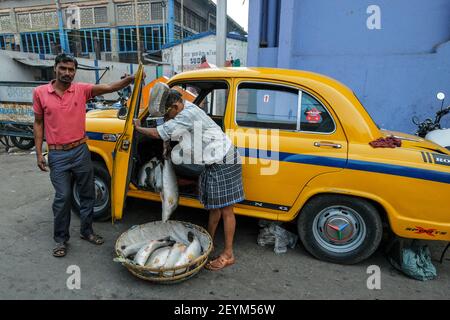 Kolkata, Indien - Februar 2021: Männer ziehen am 6. Februar 2021 in Westbengalen, Indien, Fisch aus einem Taxi auf einer Kolkata-Straße. Stockfoto