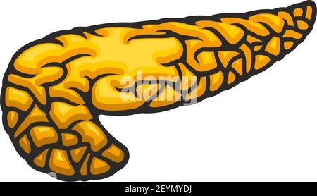 Menschliches internes Organ, Pankreas-Symbol, Verdauungssystem Vektor. Anatomieelement, Medizin Stock Vektor