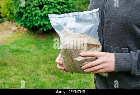 Die Frau hält einen Sack Grassamen in ihren Händen. Arbeiten im Garten Stockfoto