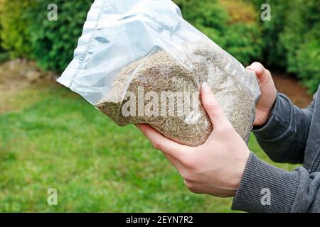 Die Frau hält einen Sack Grassamen in ihren Händen. Arbeiten im Garten Stockfoto