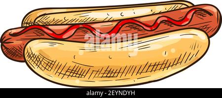 Hotdog Skizze isoliert Brötchen und Wurst mit Ketchup. Vector Fastfood Hot Dog mit frankfurter Stock Vektor