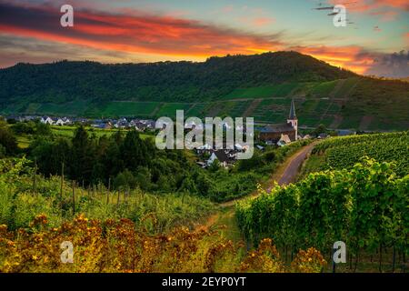 Panoramablick auf die Mosel Weinberge, Deutschland. Bruttig-Fankel an der Mosel. Stockfoto