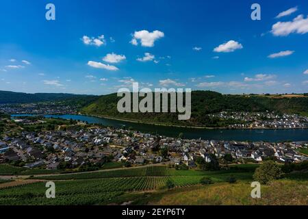 Panoramablick auf die Mosel Weinberge, Deutschland. Alken an der Mosel. Stockfoto