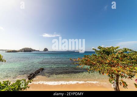 Mega Yachts vor Anker in Indian Bay, Saint Vincent und den Grenadinen Stockfoto