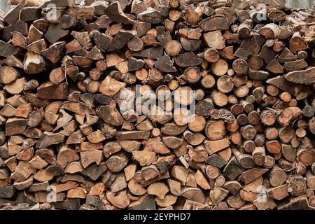 Großer Stapel von Brennholz in der Nähe von Holzhaus in avillage am Rande des Waldes. Ländliche verlassene Gebäude im Wald. Ökologischer Brennstoff, Mangel an Zivilisation Stockfoto