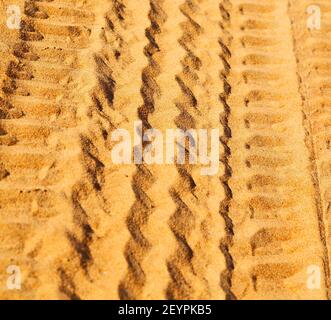 Oman Wüste Spur von einigen Autos im Sand und Richtungsstruktur Stockfoto