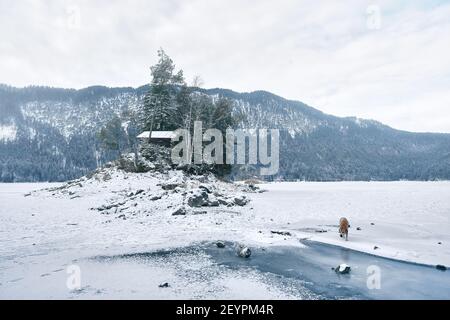 Insel im gefrorenen Eibsee mit Zugspitze am Wintertag Stockfoto