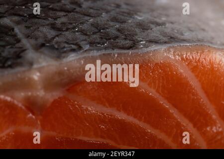 Nahaufnahme eines Lachsfilets mit Haut als Gewürz für eine gesunde, kohlenhydratarme Ernährung mit weniger Fett verwendet Stockfoto