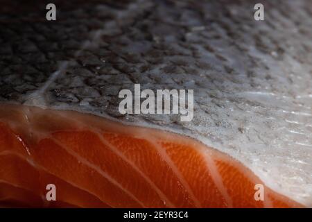 Nahaufnahme eines Lachsfilets mit Haut als Gewürz für eine gesunde, kohlenhydratarme Ernährung mit weniger Fett verwendet Stockfoto