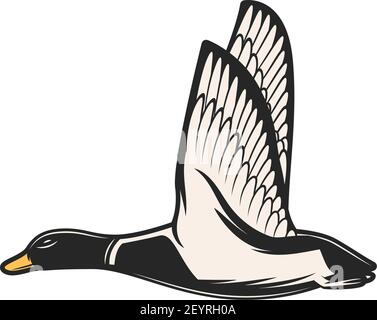 Symbol für den Wildvogel des schwarzen Birkhuhns. Vector Amsel Geflügel, Zoo und Jagd Vogel Stock Vektor