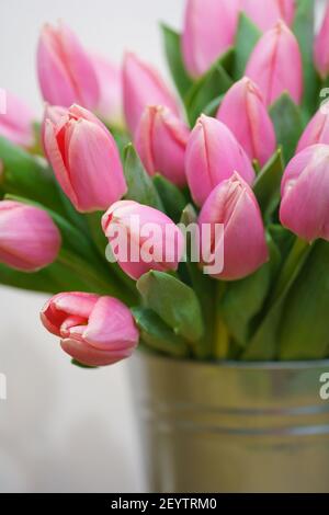 Bouquet von Tulpen in einem eisernen Eimer. Stockfoto