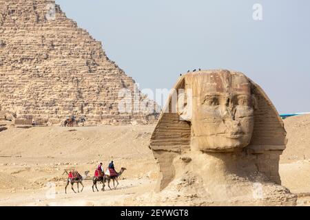 Lokale Reiseleiter reiten Kamele hinter der Großen Sphinx von Gizeh, Gizeh Plateau, Groß-Kairo, Ägypten Stockfoto